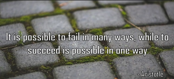 It is possible to fail in many ways&hellip;while to succeed is possible only in one way
