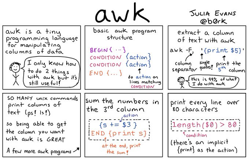 AWK language