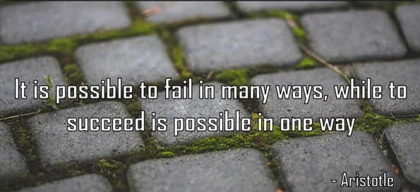 It is possible to fail in many ways…while to succeed is possible only in one way